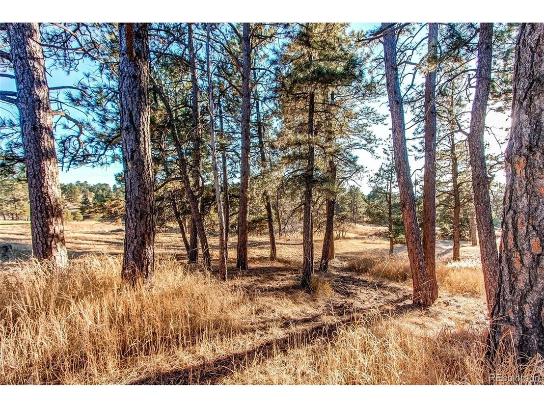 Photo of 12191 Evergreen Trl