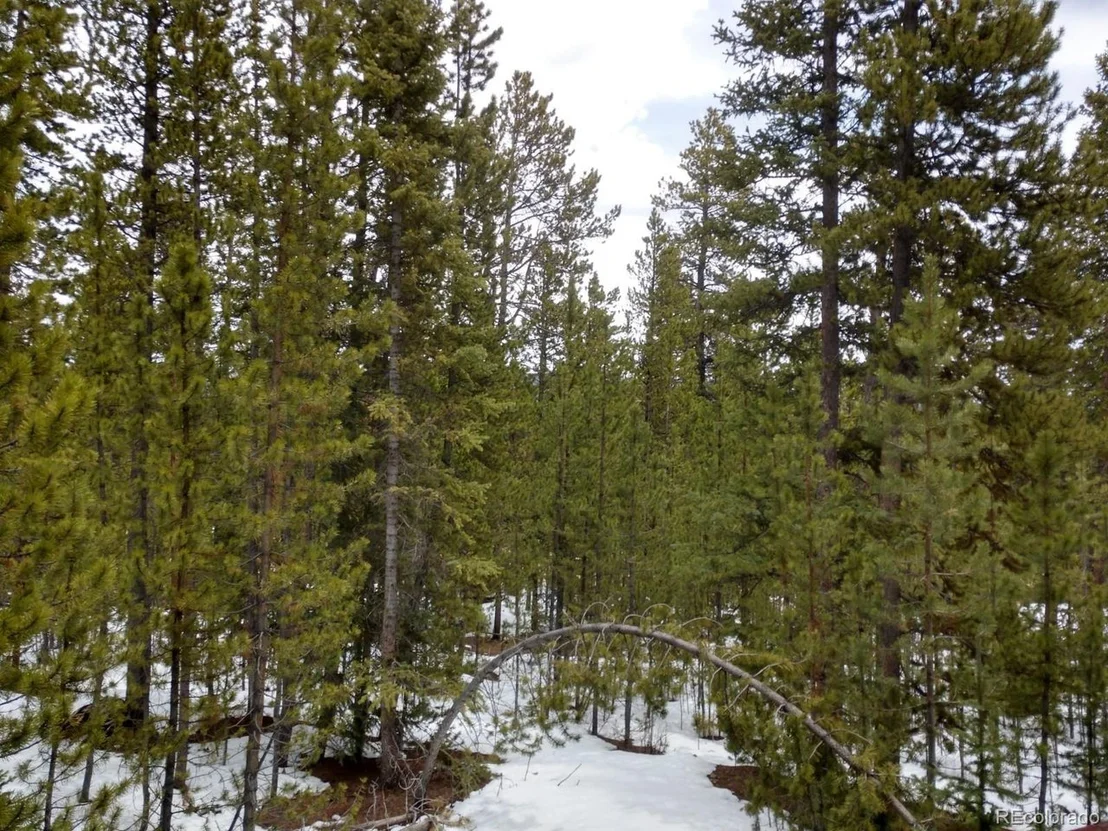 Photo of 78 Dry Gulch Rd
