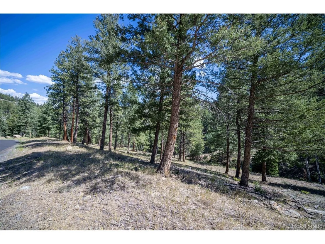 Photo of 14850 Quandary Peak Rd
