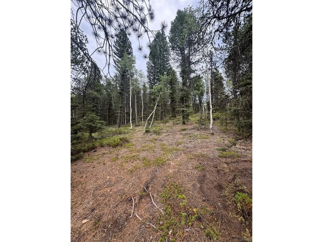 Photo of 111 Elk Creek Dr