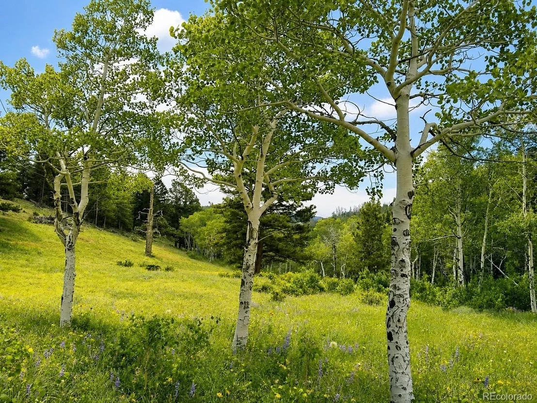 Photo of 1001 County Road 86