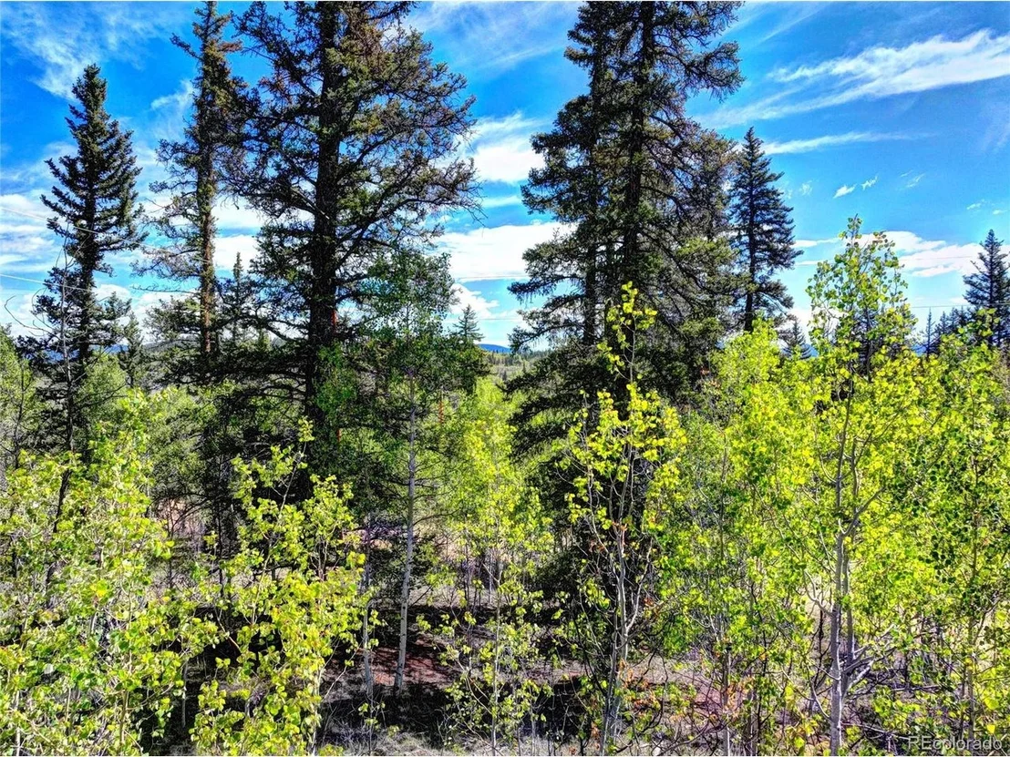 Photo of 75 Swiggler Rd