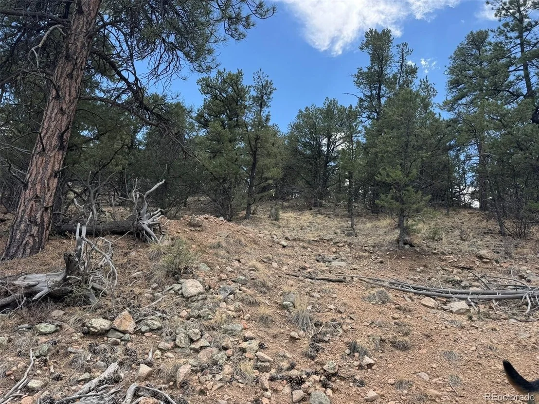 Photo of TBD 33rd