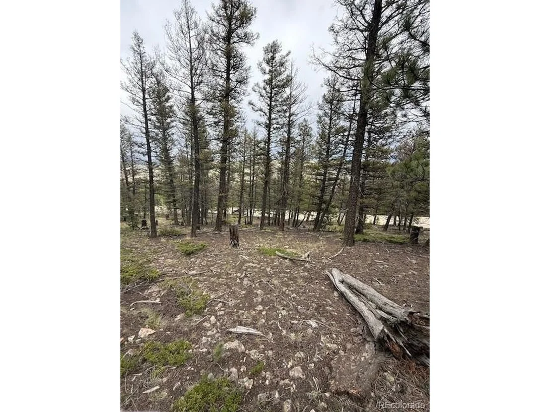 Photo of 2689 Redhill Rd