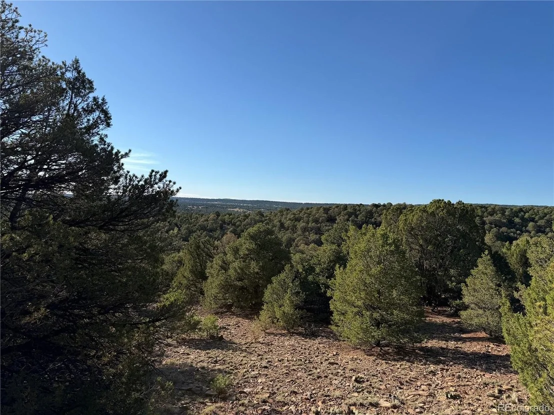 Photo of 141 River Ridge Ranch