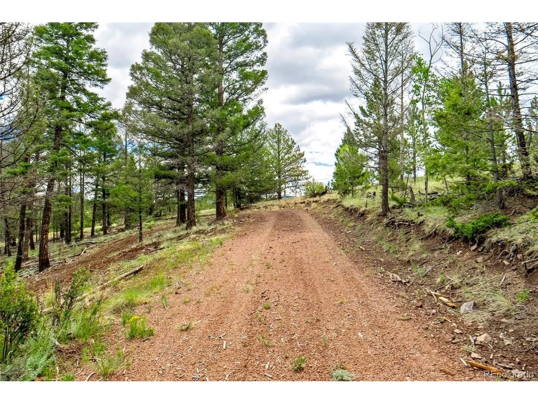Photo of 75 Deer Run