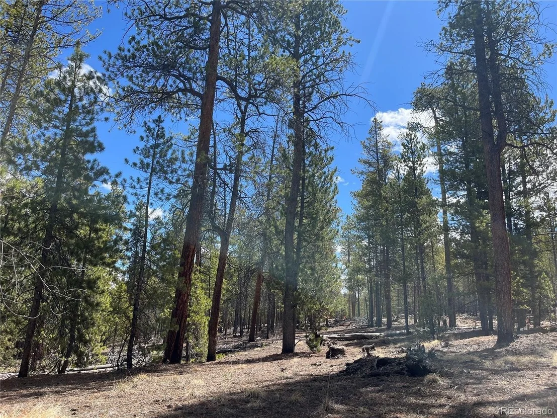 Photo of 1013 Sequoia Dr