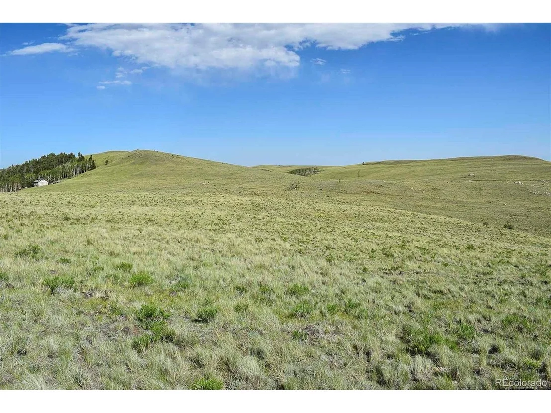 Photo of 0 Bear Cat Rd