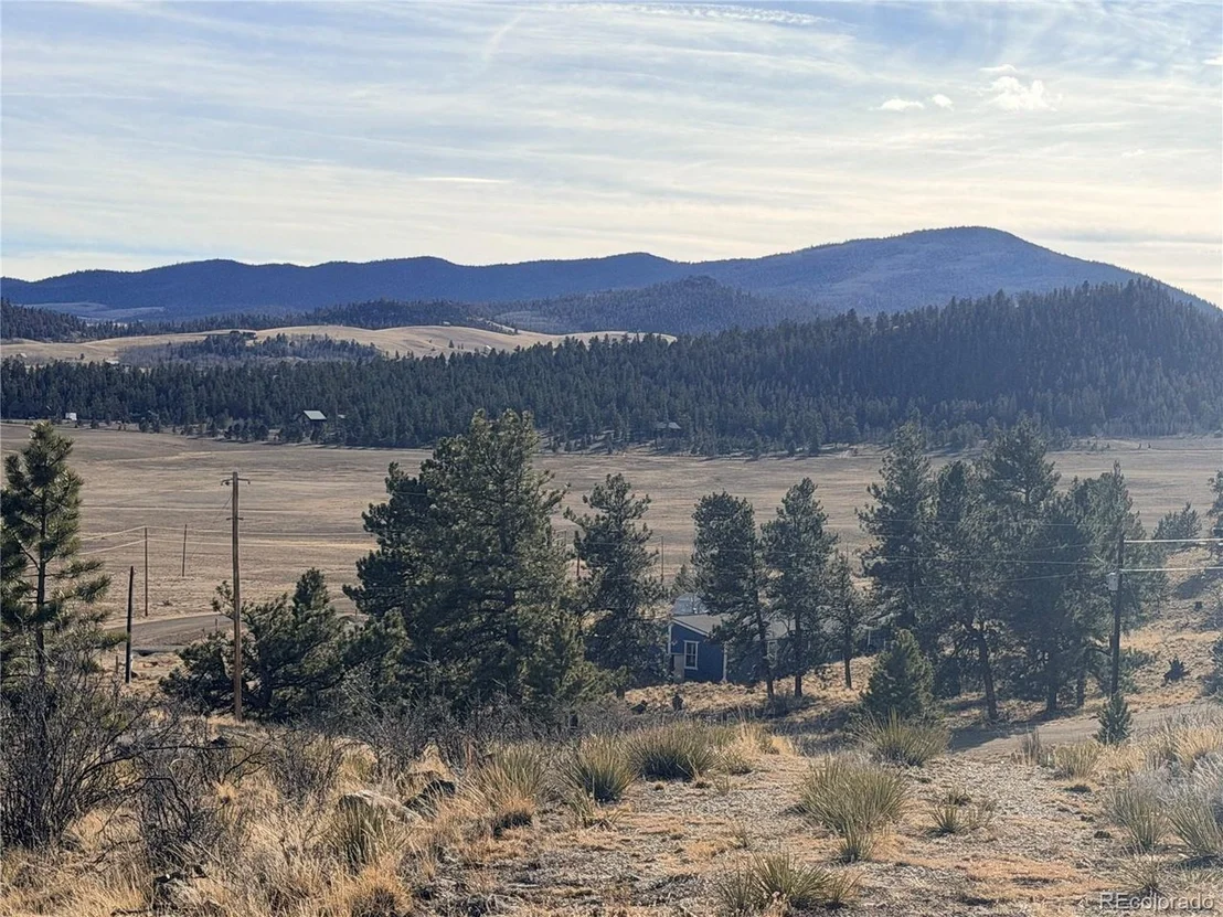 Photo of 729 Bridle Path