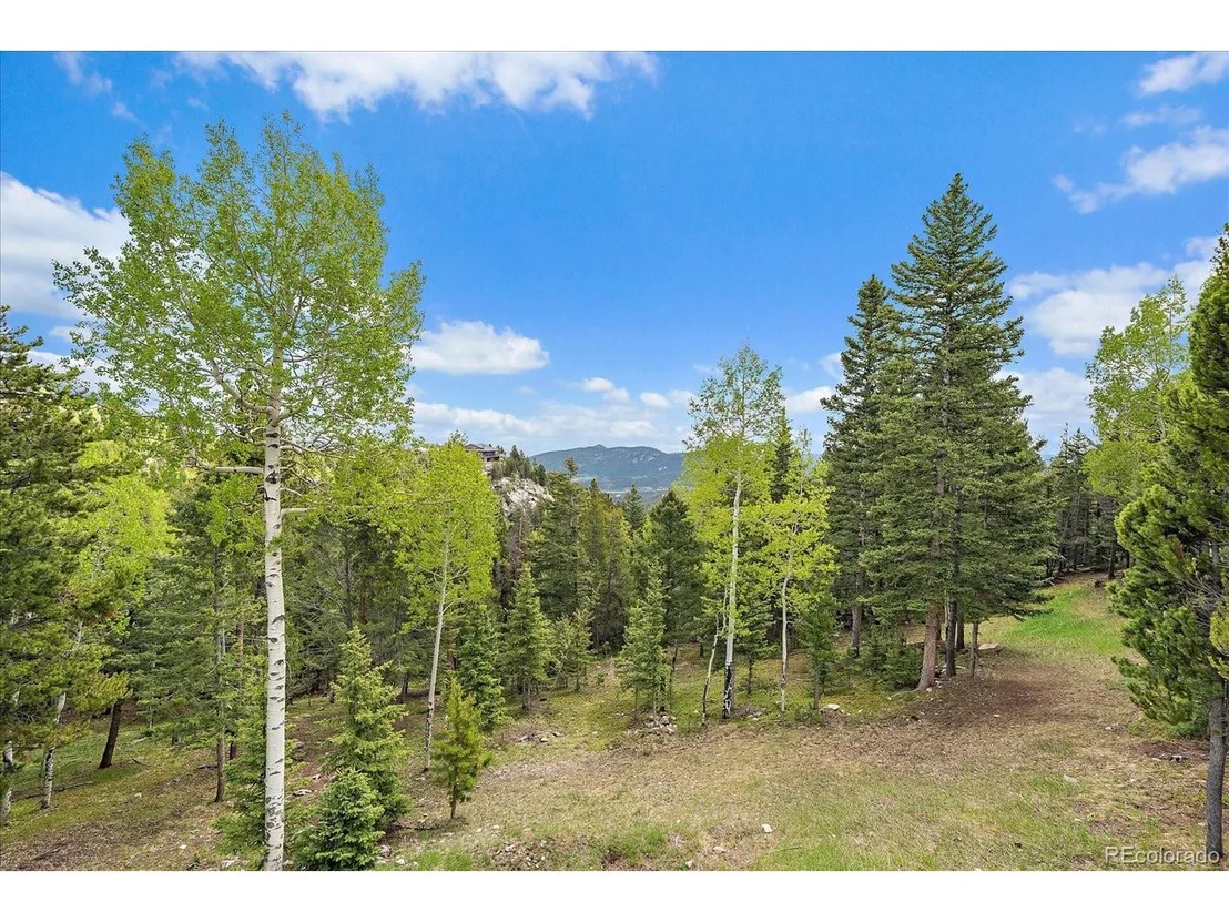 Photo of 11222 Conifer Mountain Rd