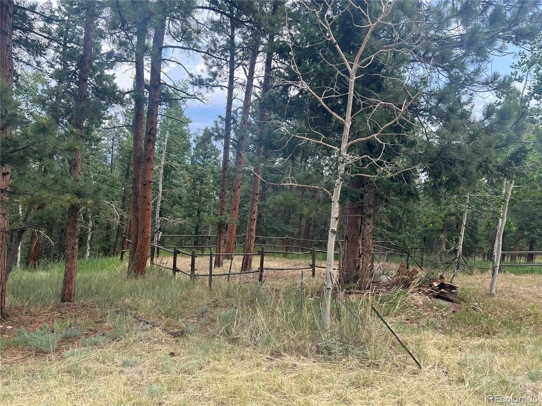 Photo of 119 Conifer Dr