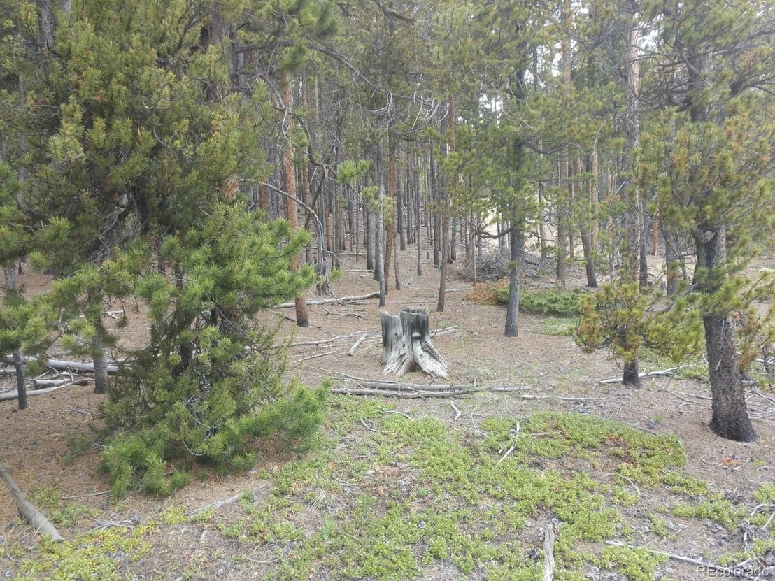 Photo of 317 Ski Doo Rd