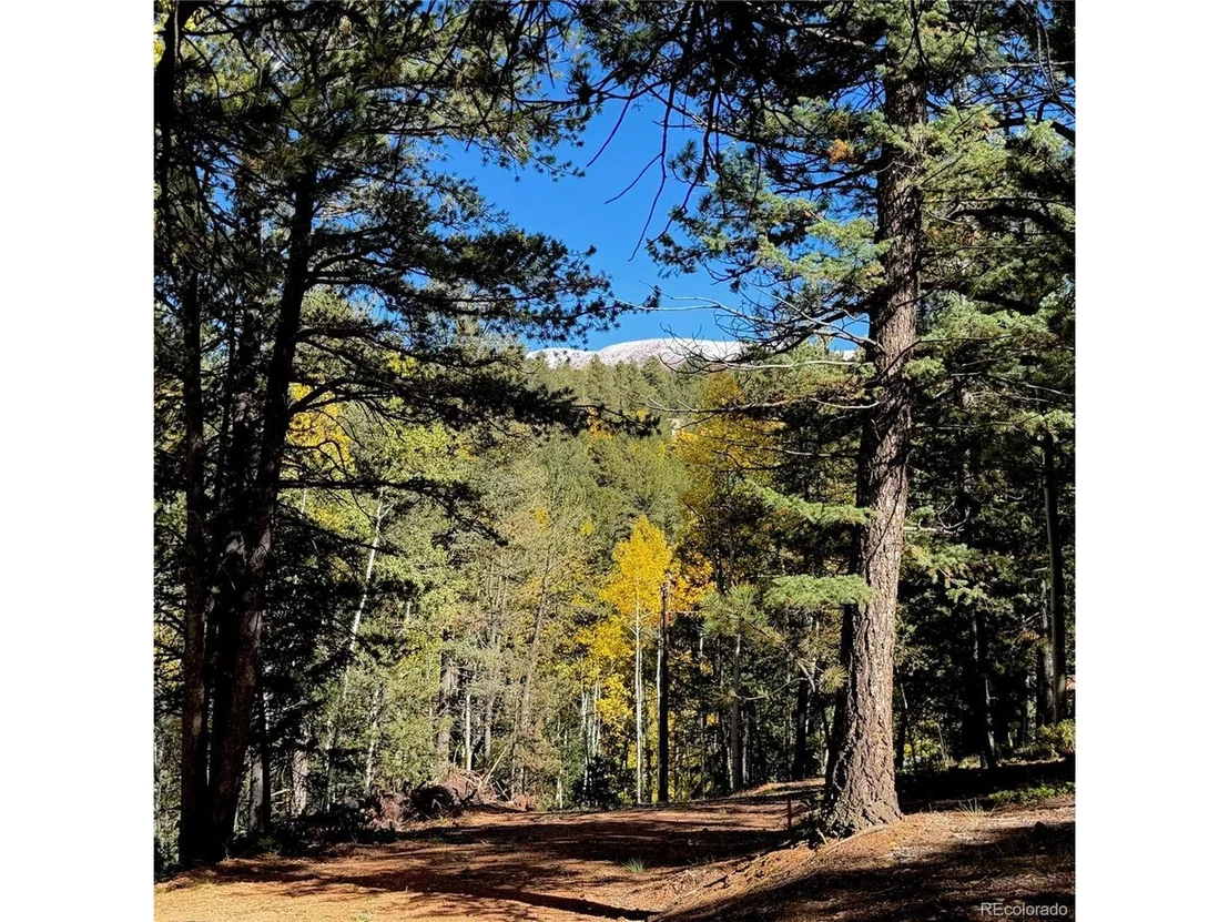 Photo of 800 Timber Ridge Rd