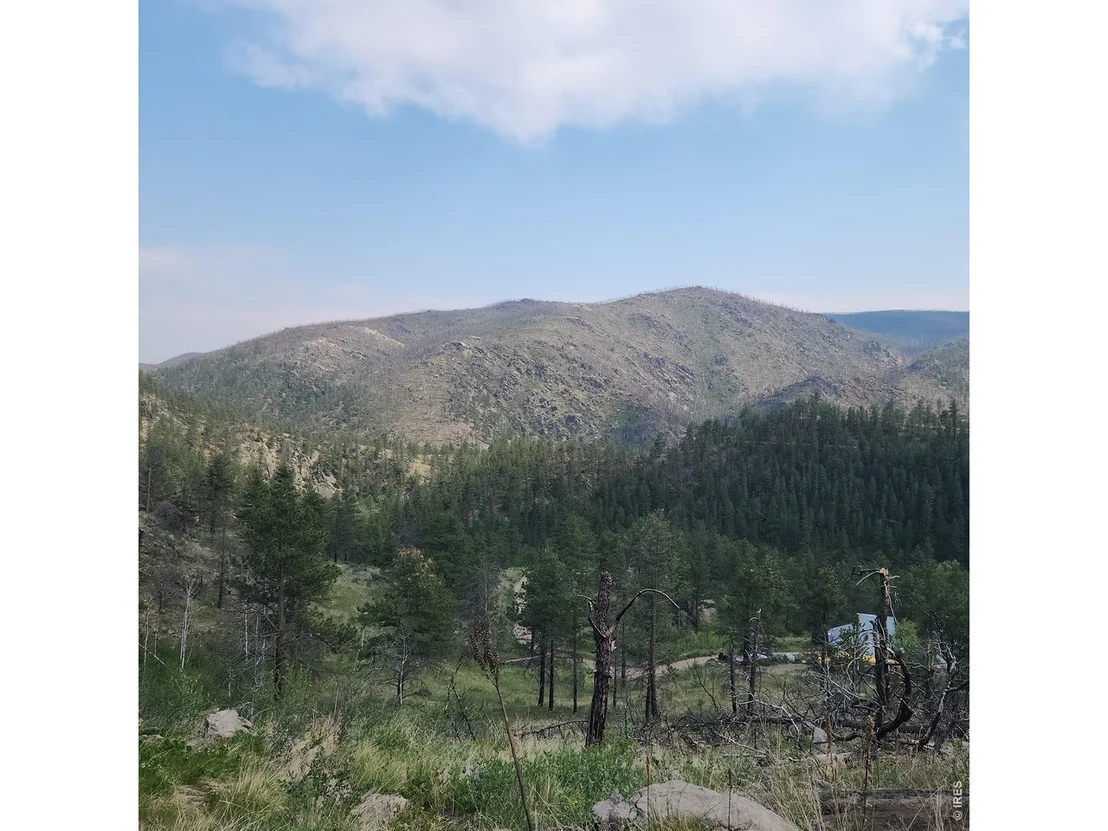 Photo of 693 Cougar Dr