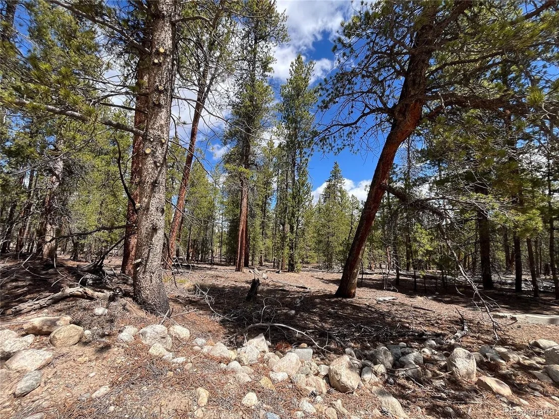 Photo of 1013 Sequoia Dr