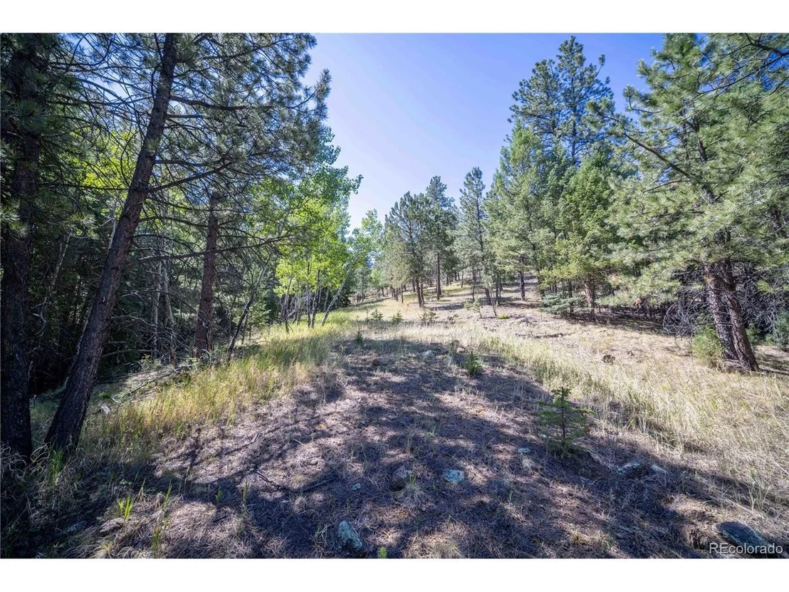 Photo of 14850 Quandary Peak Rd