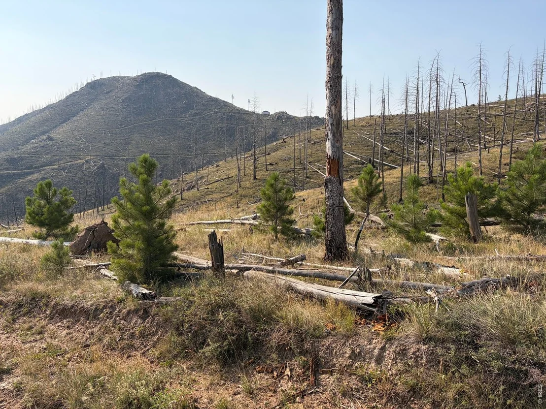 Photo of 0 Pine Acres Rd