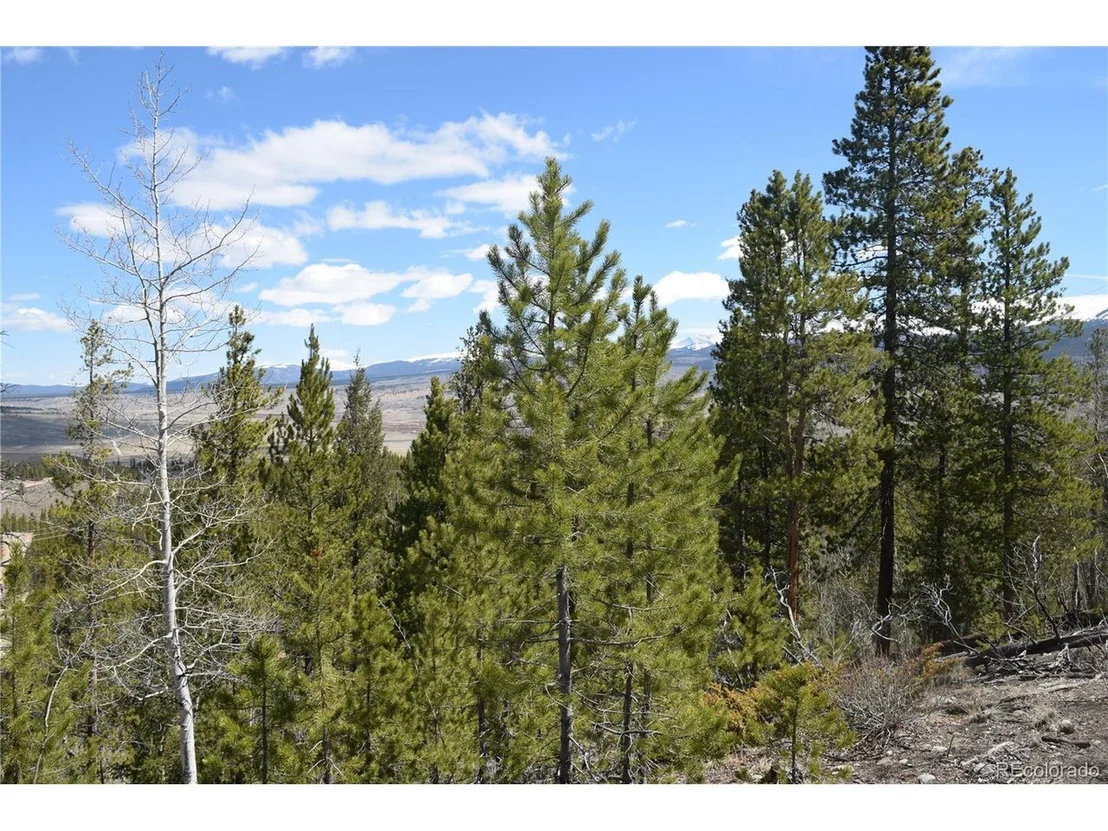 Photo of 483 Mt. Elbert Dr