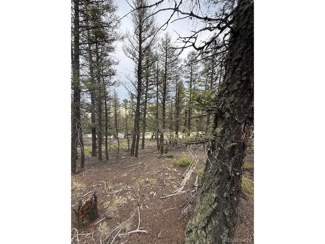 Photo of 2689 Redhill Rd