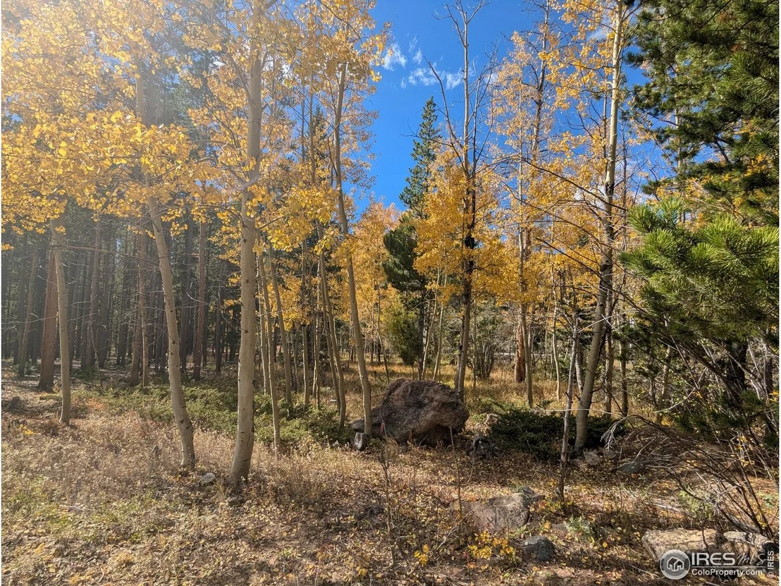 Photo of 2174 Bear Gulch Rd