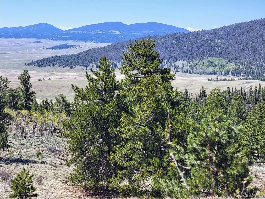 Photo of 169 Lantern Loop