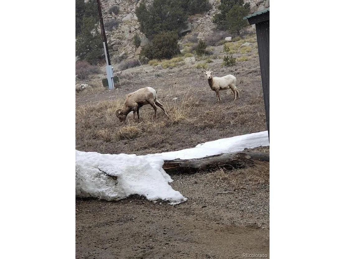 Photo of 18957 County Road 162