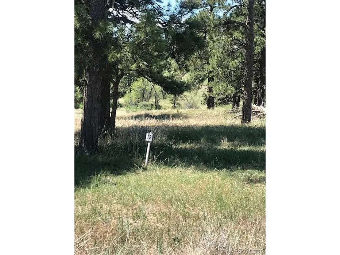 Photo of 10560 Shadow Pines Rd
