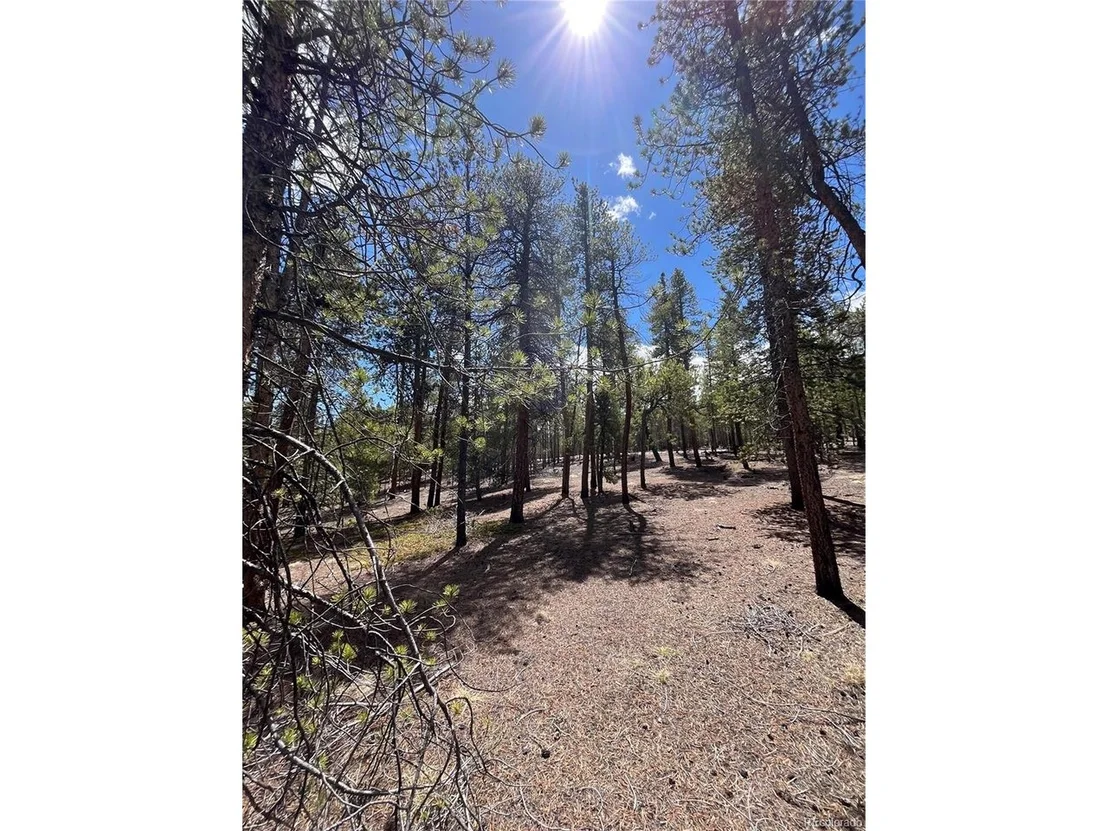 Photo of 1013 Sequoia Dr
