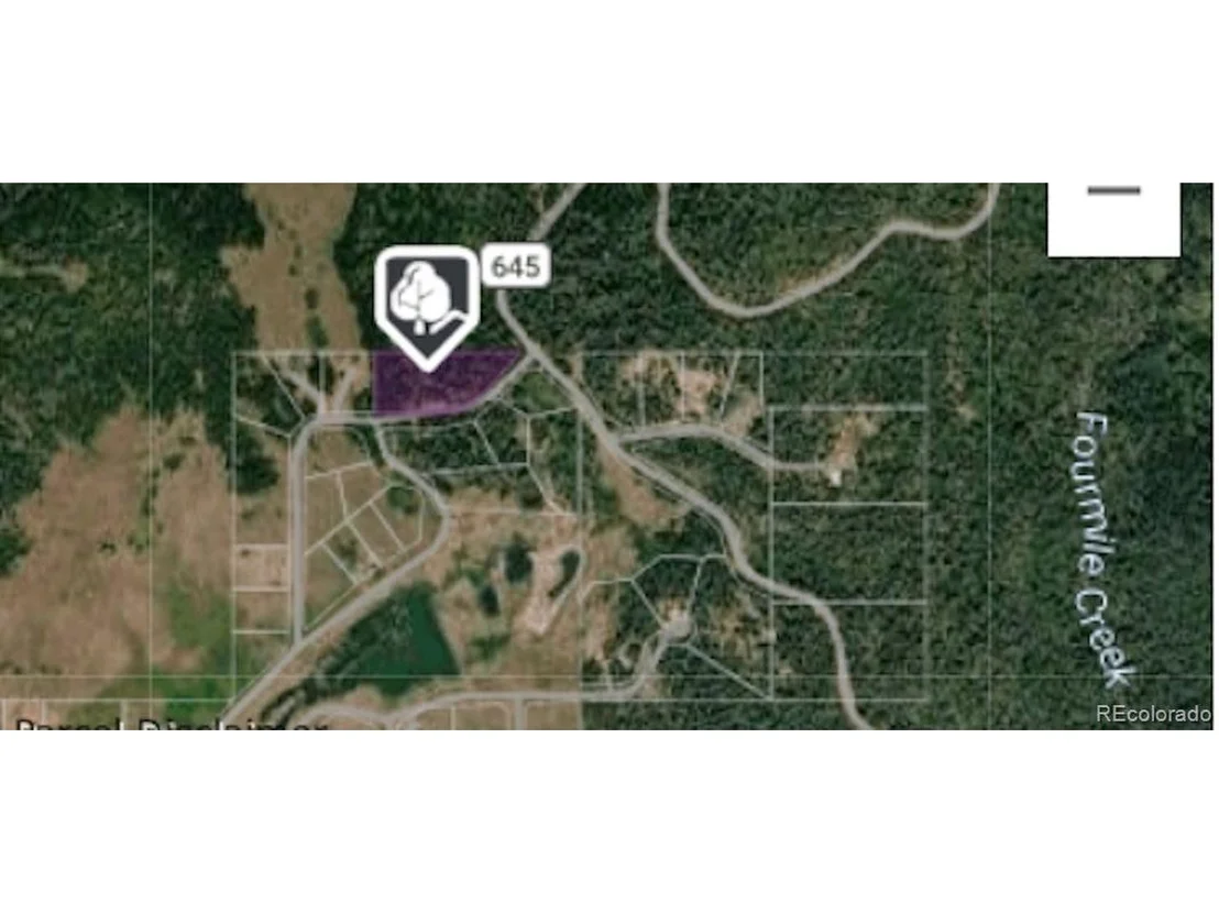 Photo of 207 Camp Robber Dr