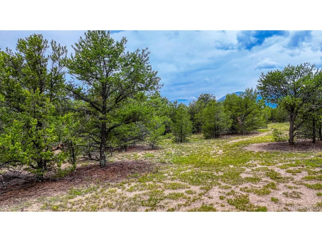 Photo of 10766 Sawatch Range Rd