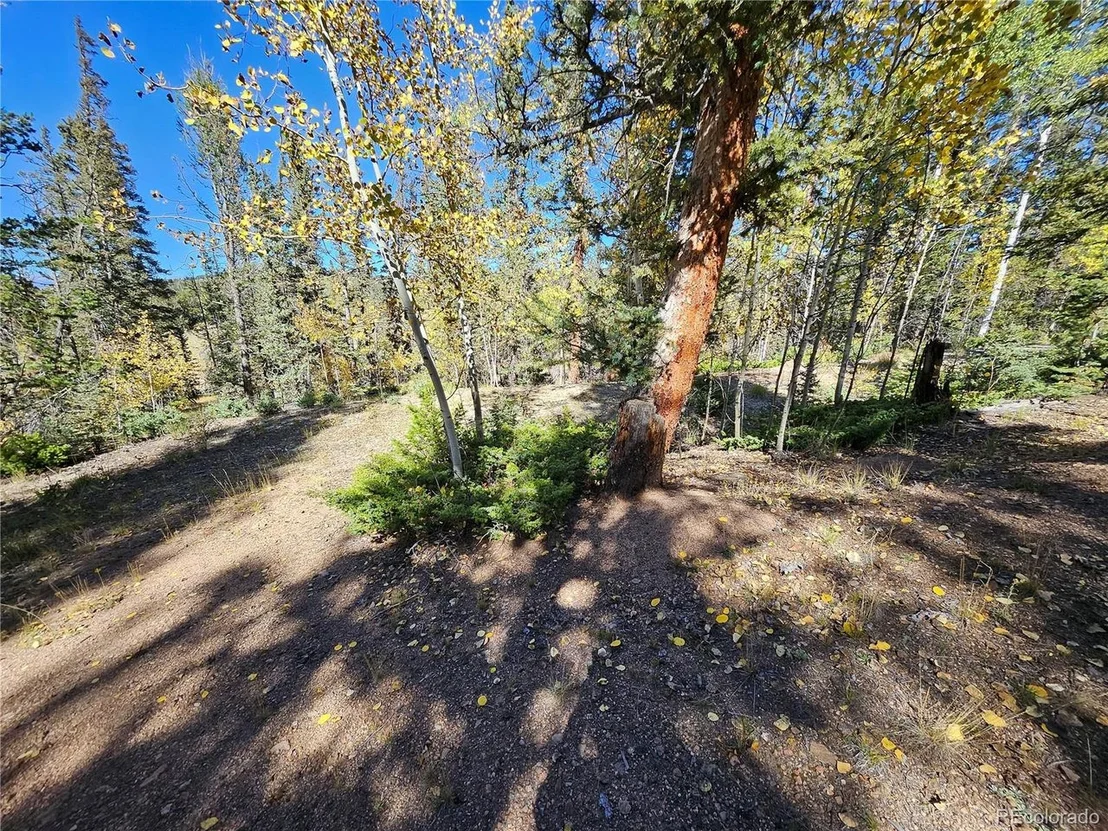 Photo of 2249 E Longbow Dr