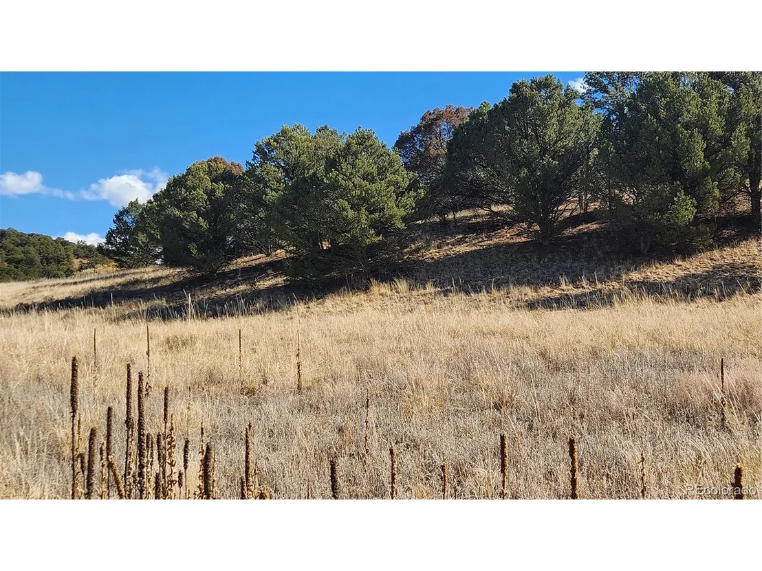 Photo of 311 Kit Carson Trl