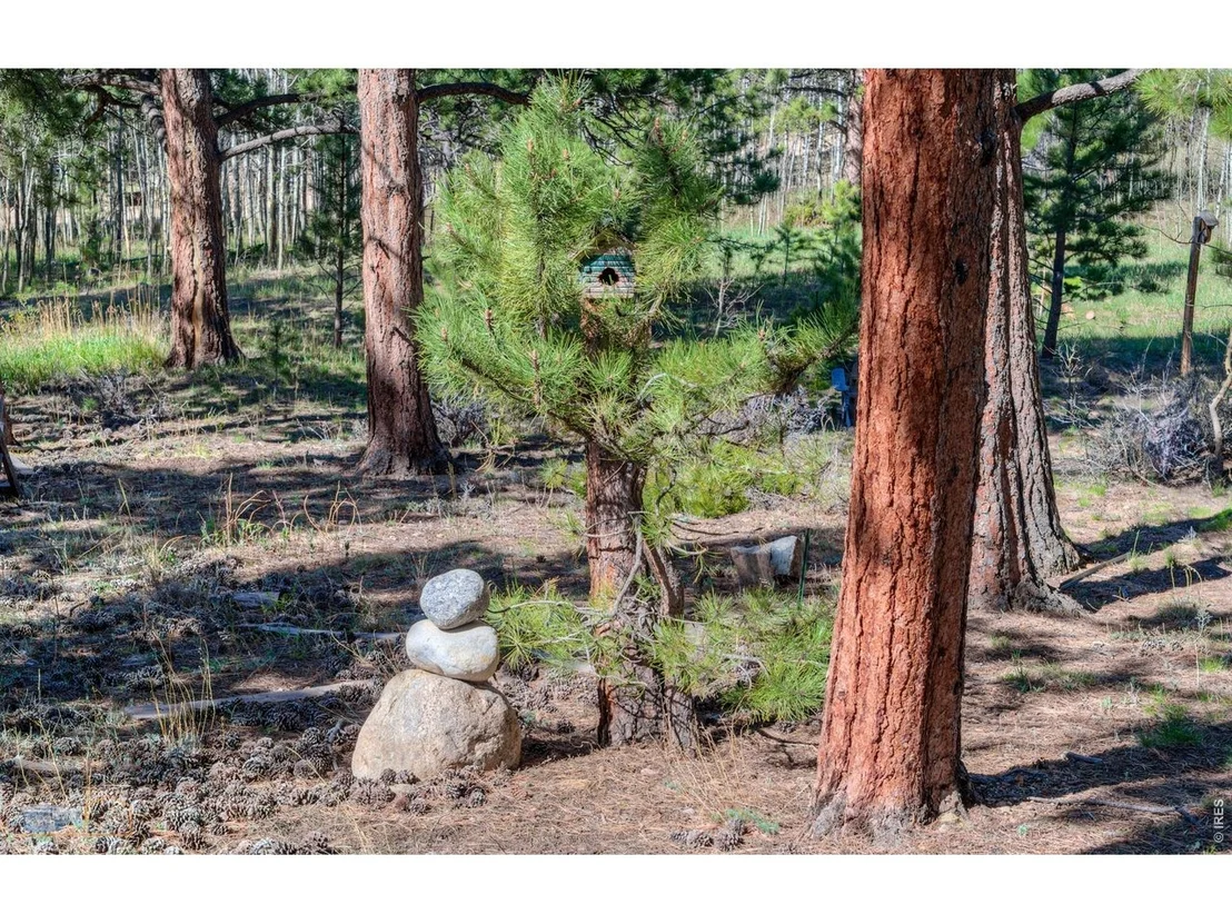 Photo of 87 Sundance Cir