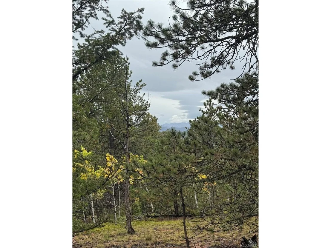 Photo of 7935 County Road 51