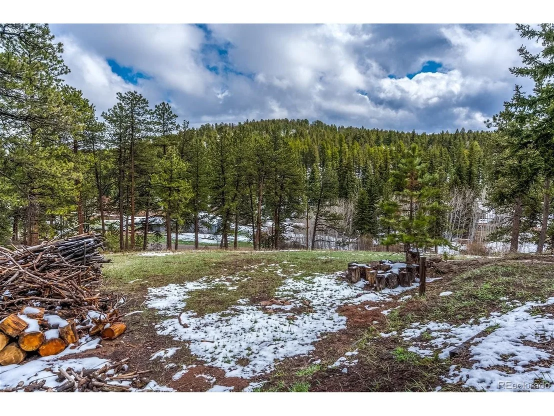 Photo of 27132 Log Trl