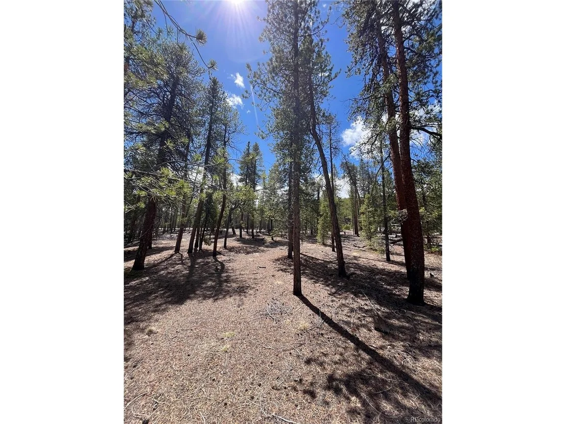 Photo of 1013 Sequoia Dr