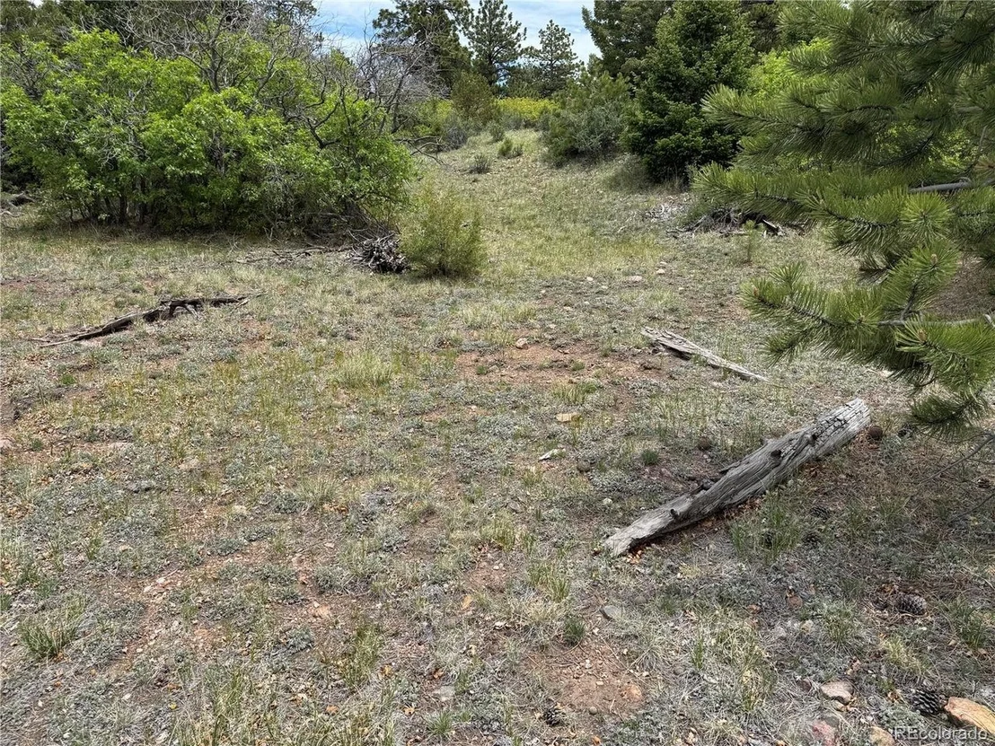 Photo of Knotty Pine Rd