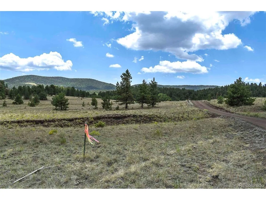 Photo of 376 Copeland Rd