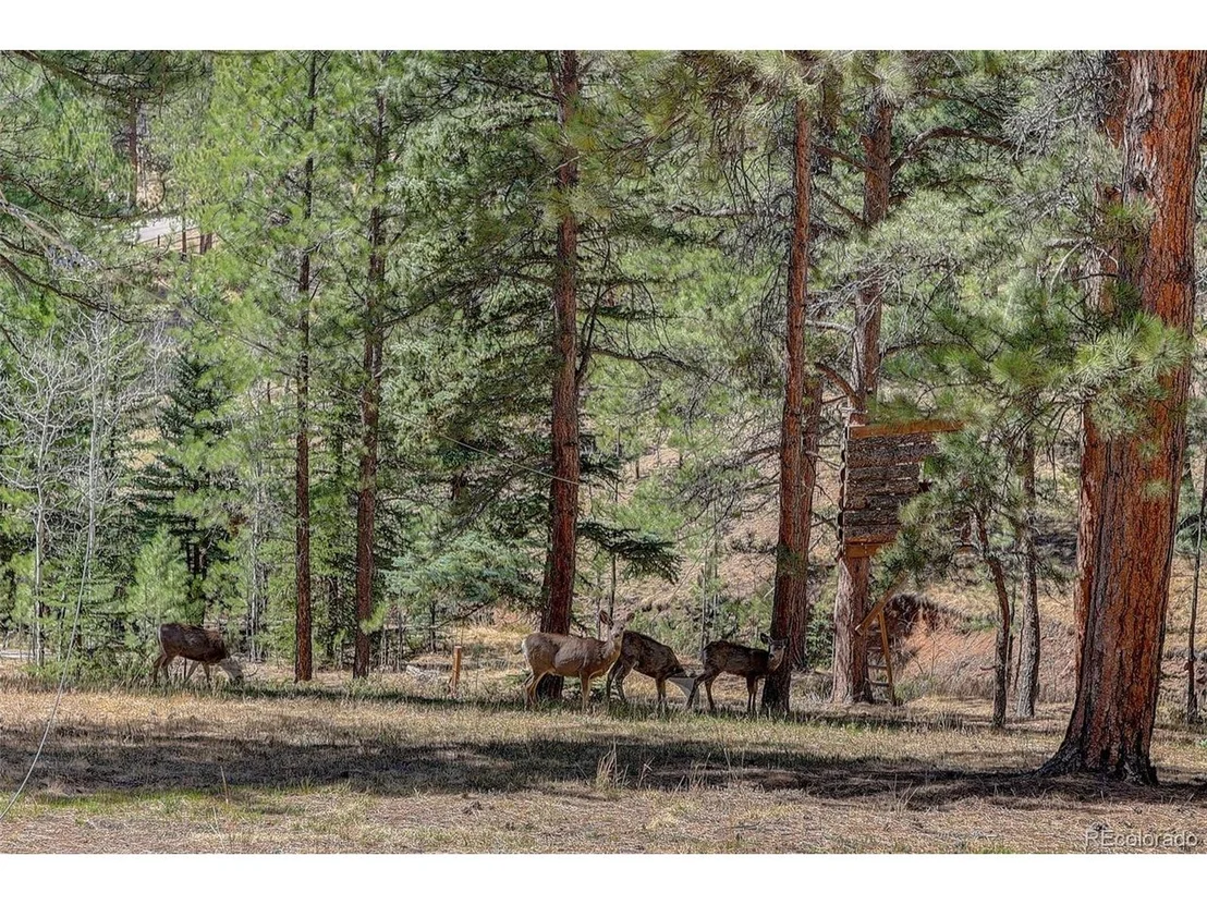 Photo of 34144 Rock Creek Rd
