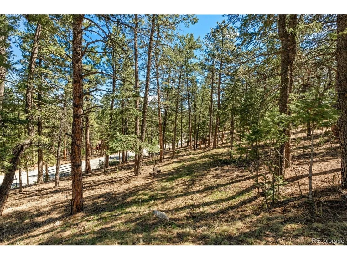 Photo of 20 Long Ridge Dr