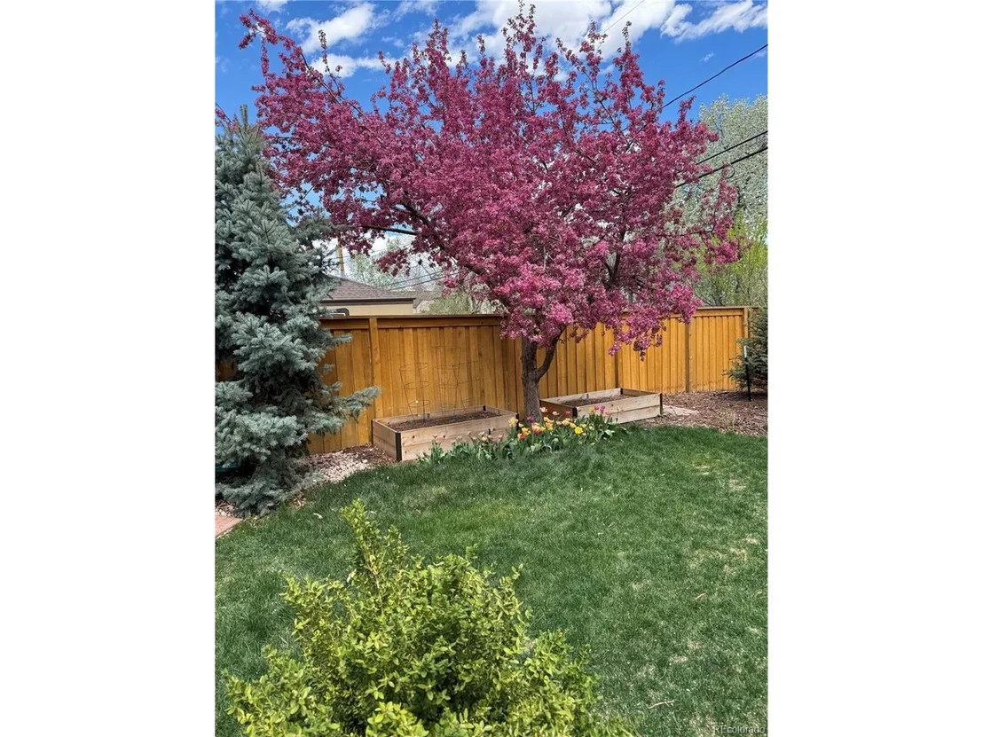Photo of 366 Elm St