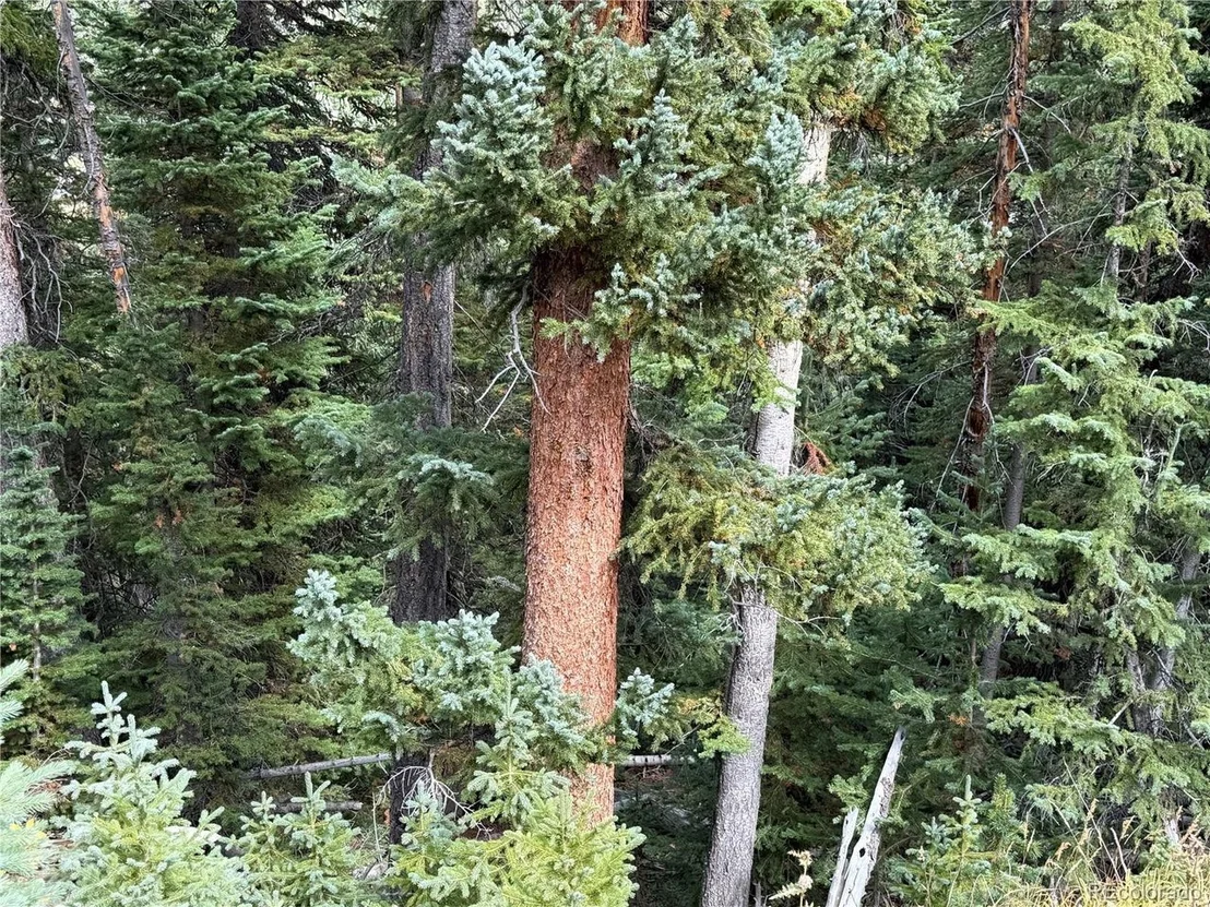 Photo of 605 CR 805