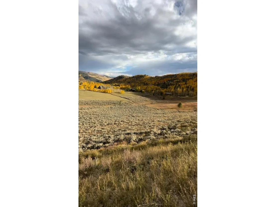Photo of 725 County Road 2416
