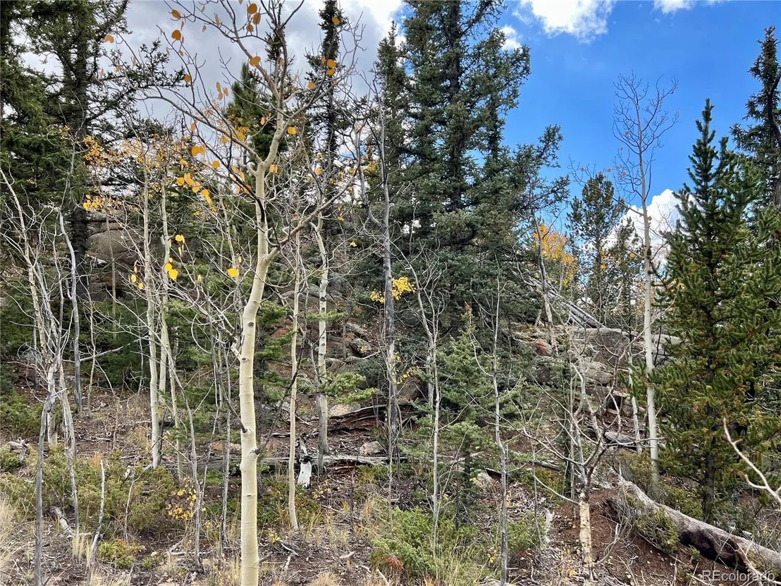 Photo of 791 Haida Ln