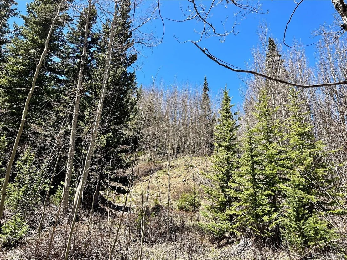 Photo of 529 Roberts Rd