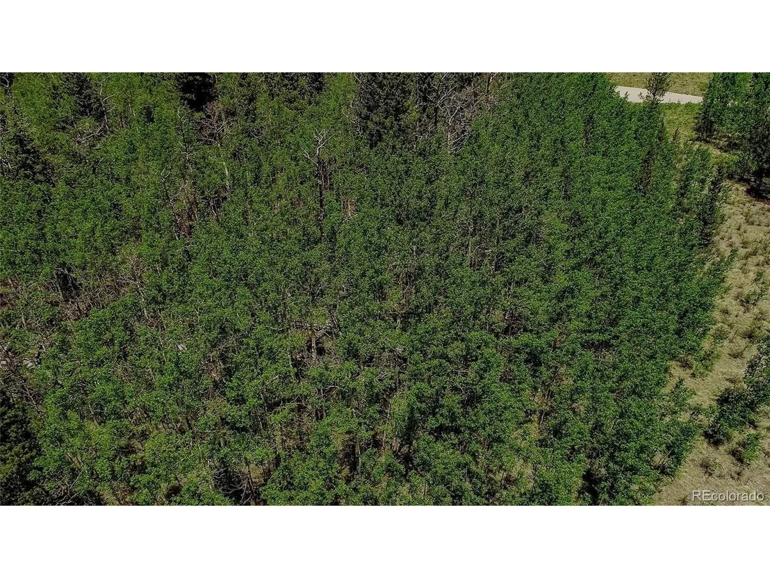 Photo of 515 Wild Rye Rd