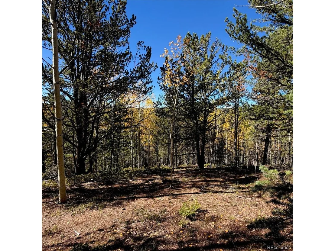 Photo of 773 Timber Ridge Rd