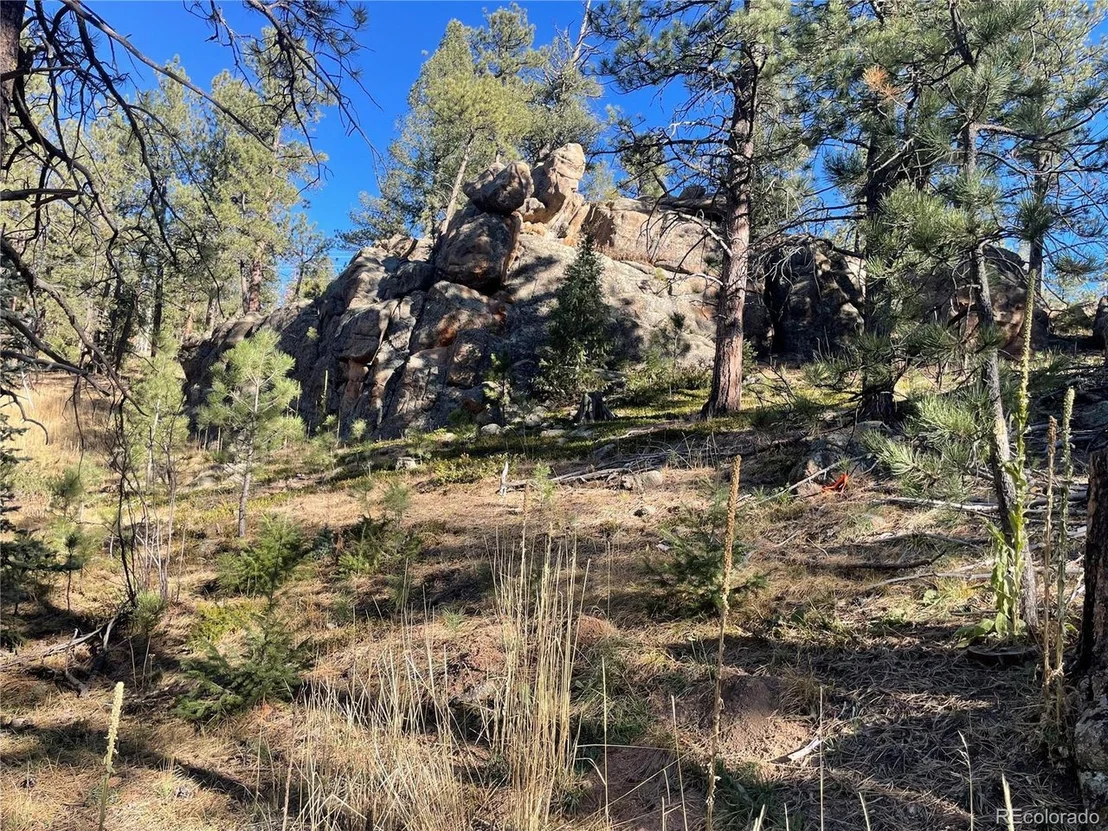 Photo of Shadow Mountain Dr