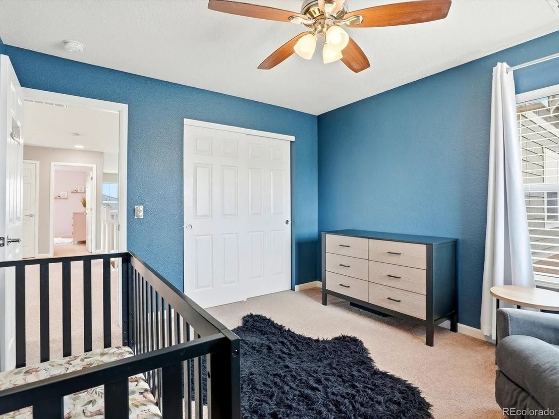 Photo of 2626 Gray Wolf Loop