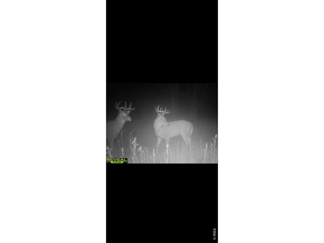 Photo of 26247 County Road 2